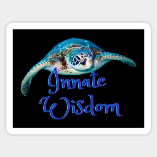 Innate wisdom Sticker